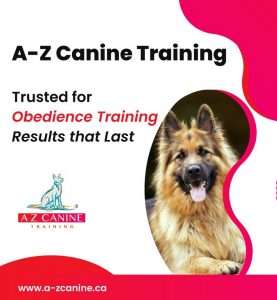 A-Z Canine Training