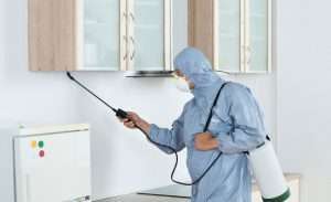 Firms for the Best Pest Control in Edmonton