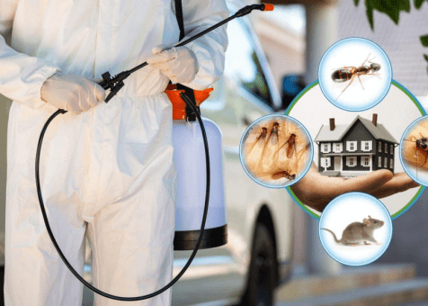 Firms for the Best Pest Control in Edmonton